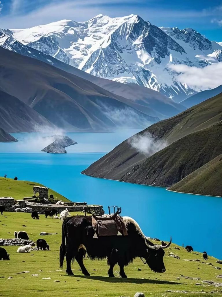 Yamdrok Lake