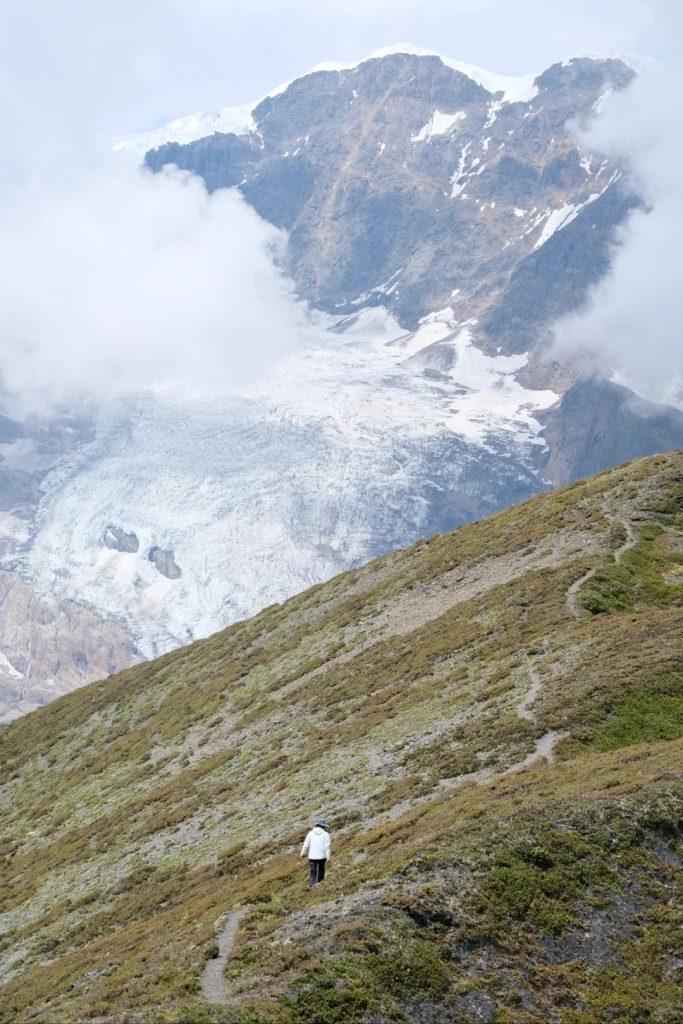 Discover alpine rhododendrons, fir forests, and ancient woodlands, immersing in the vitality of nature.