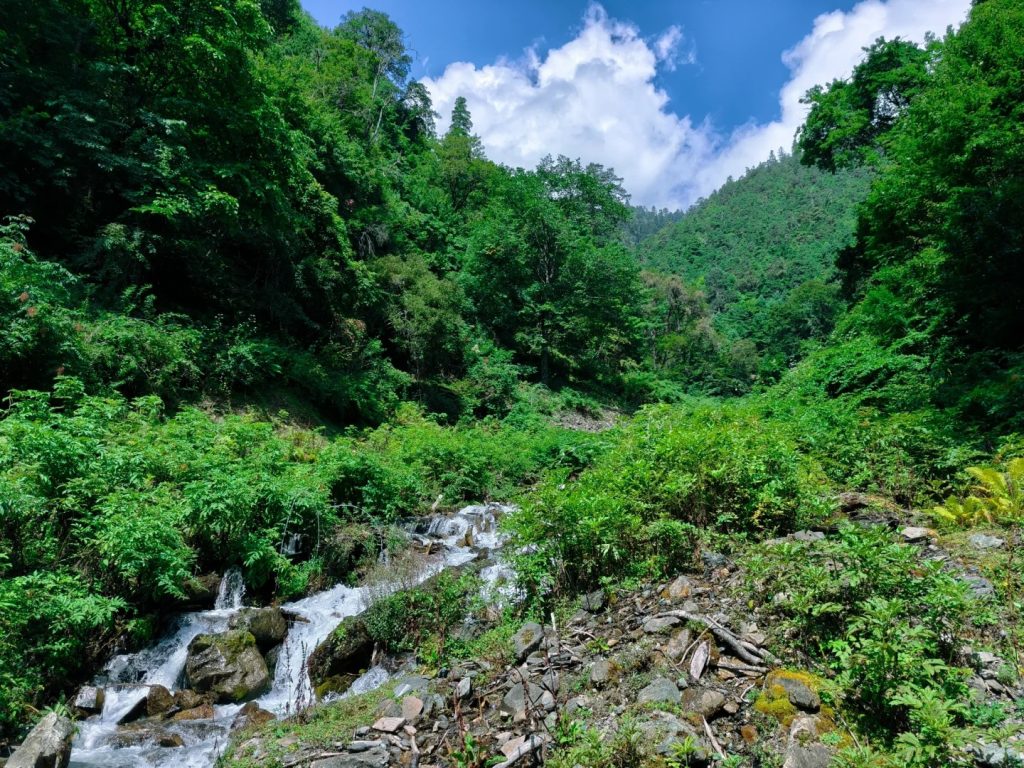 Glacial meltwater from Kawagarbo feeds countless crystal-clear mountain streams, weaving through ancient forests and meadows like liquid silver. The icy water is so pure that locals collect it for daily use. Between the rocks, you might spot rare alpine plants like snow lotus and rhodiola.