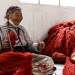 With practiced hands, the artisan carefully rolls the vibrant Tibetan carpet, its wool still carrying the scent of highland pastures.