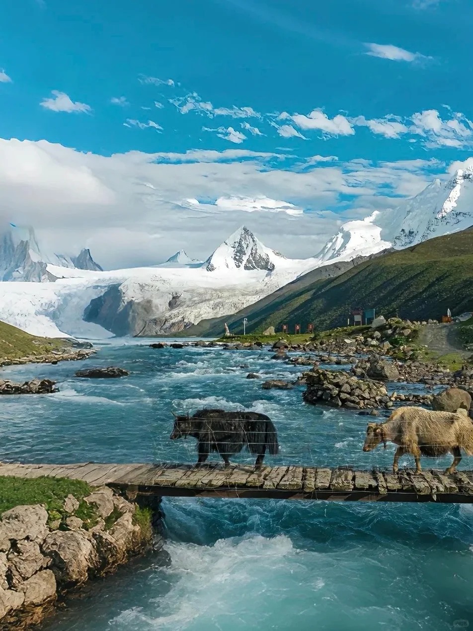 Tibet Trip in August